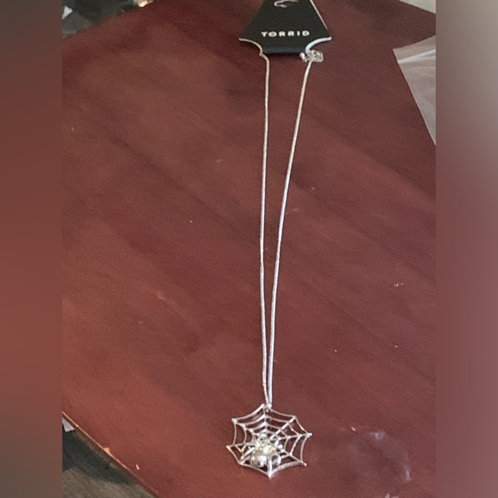 Silver-Tone Spiderweb Pendant Necklace 20$